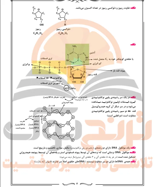 جزوه زیست شناسی دوازدهم تجربی