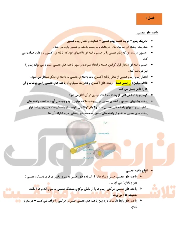 جزوه زیست شناسی یازدهم تجربی