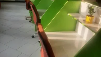 پانسیون مطالعاتی دخترانه خیابان ولیعصر تهران
