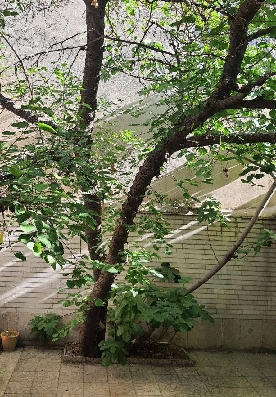 سالن مطالعه دخترانه خیابان پیروزی شرق تهران